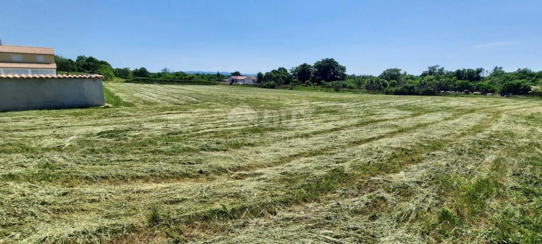 ISTRA, BARBAN - Kompleks građevinskih parcela s predanim zahtjevom za izgradnju samostoječih moderni