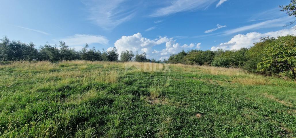 ISTRA, PIĆAN - Prekrasan kompleks građevinskog i poljoprivrednog zemljišta, pogled na Učku - potpuna