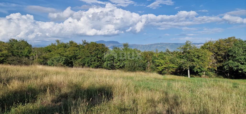 ISTRA, PIĆAN - Prekrasan kompleks građevinskog i poljoprivrednog zemljišta, pogled na Učku - potpuna