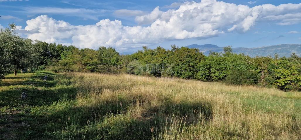 ISTRA, PIĆAN - Prekrasan kompleks građevinskog i poljoprivrednog zemljišta, pogled na Učku - potpuna