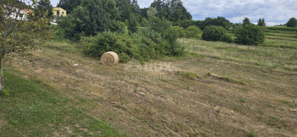 ISTRA, PIĆAN - Građevinsko zemljište pogodno za investitore