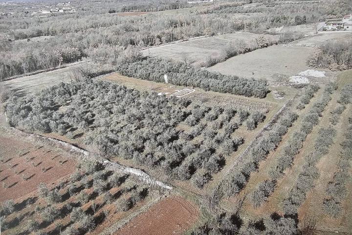 Istra, Kringa, građevinsko zemljište za autohtonu istarsku stanciju blizu mora 