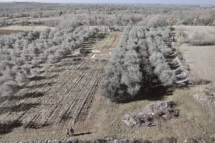 Istra, Kringa, građevinsko zemljište za autohtonu istarsku stanciju blizu mora 