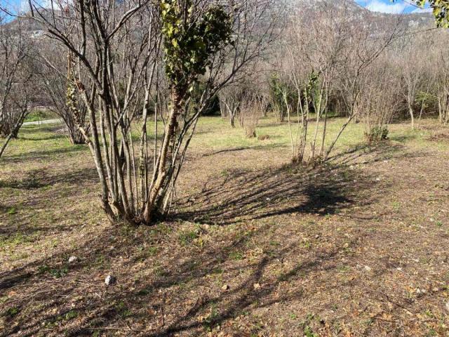 Land for sale, 800 m2, Bar, Pečurice