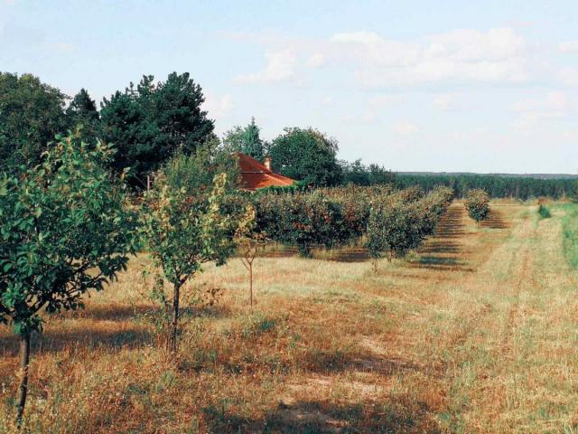 Prvoklasno zemljište sa pogledom na Dunav