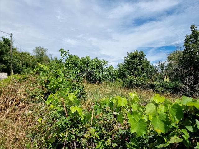 ISTRA, LABIN - Veliko zemljište s panoramskim pogledom