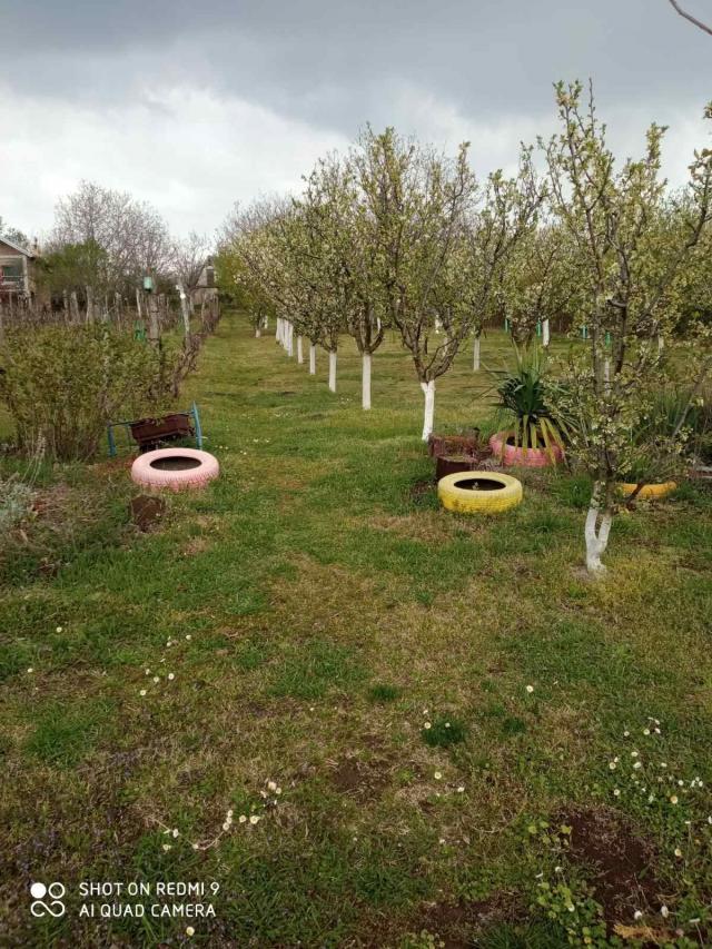 Vikend kuća na Fruškoj Gori, sa voćnjakom i vinogradom. Novi Slankamen. Preporuka!