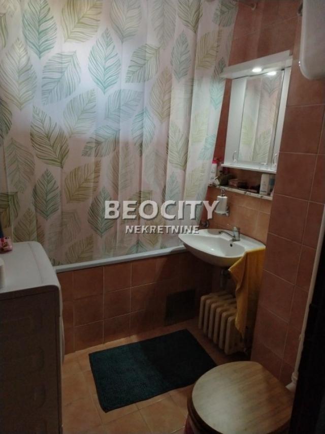 Novi Sad, Detelinara, Pasterova, 3. 0, 65m2, 137000EUR