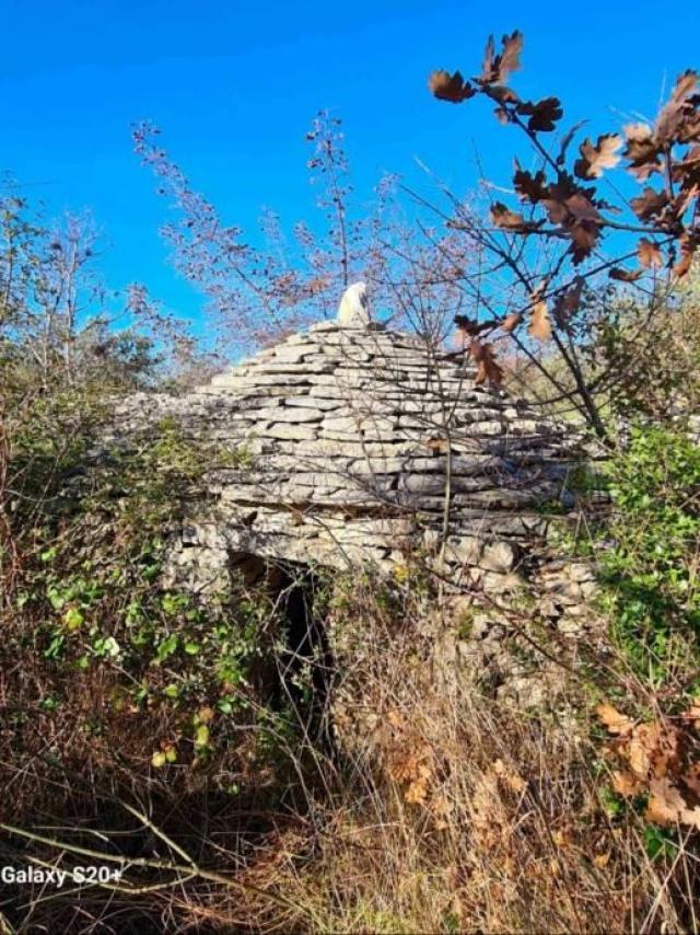 ISTRIEN, FAŽANA - Wunderschöner Olivenhain mit istrischem Kažun 3.170 m2