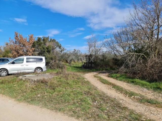 ISTRIEN, FAŽANA - Wunderschöner Olivenhain mit istrischem Kažun 3.170 m2