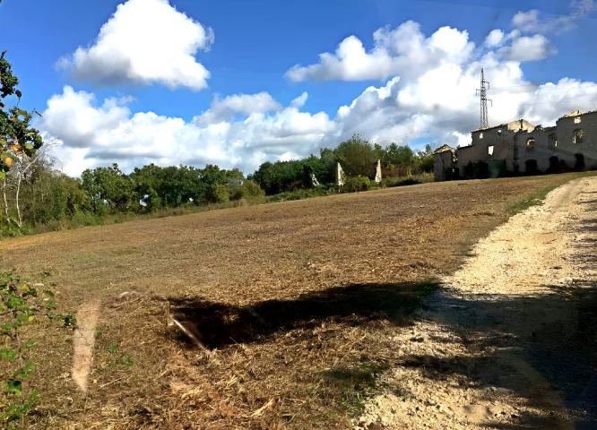 ISTRA, BUJE – Ein einzigartiges Anwesen in außergewöhnlicher Lage