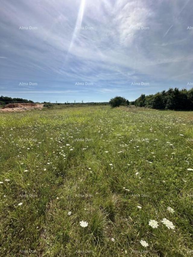 Građevinsko zemljište Prodaje se građevinsko zemljište, 5832m2, Barban