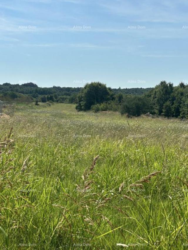 Građevinsko zemljište Prodaje se građevinsko zemljište, 5832m2, Barban