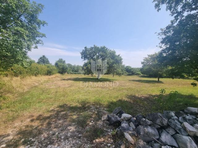 Zeitgenössische Villa in der Nähe von Poreč in idyllischer Umgebung