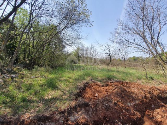 ISTRIEN, MARČANA - Baugrundstück am Rande des Dorfes