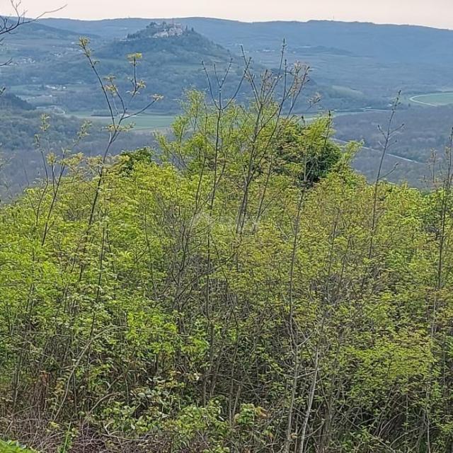 ISTRIA, LIVADE (surroundings) - Building land with an imposing view