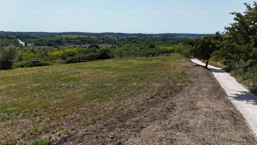 Building land Building plots for the construction of residential buildings, Buje!