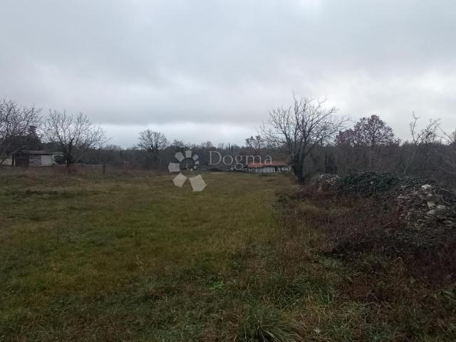 PRILIKA!!! Veliko zemljište u okolici Žminja