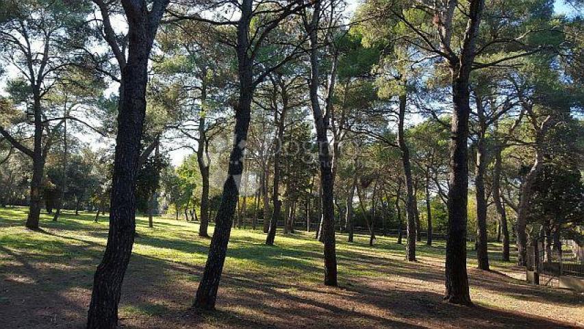 Land Rovinj, 12.050m2