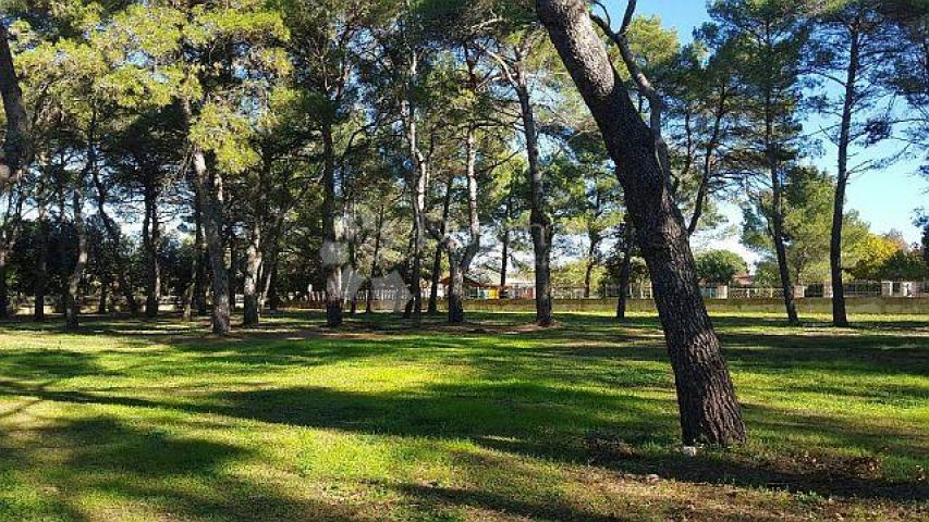 Land Rovinj, 12.050m2