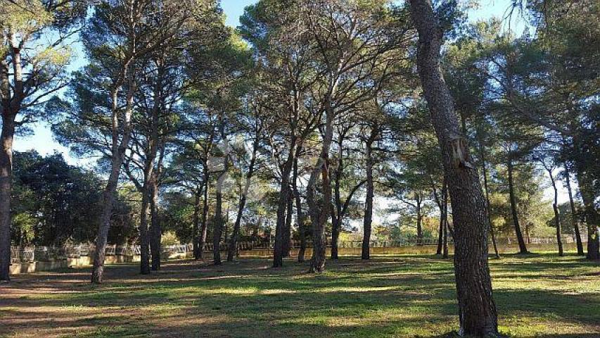 Land Rovinj, 12.050m2