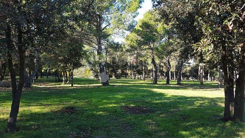 Land Rovinj, 12.050m2