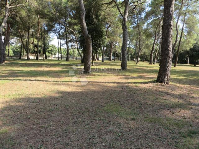 Land Rovinj, 12.050m2