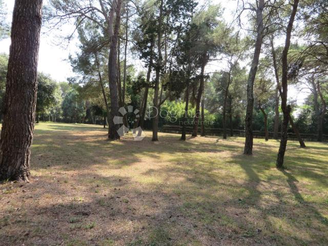 Land Rovinj, 12.050m2