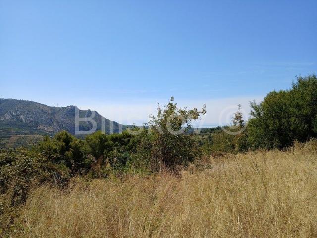 Klis, kamena kućica na velikoj parceli