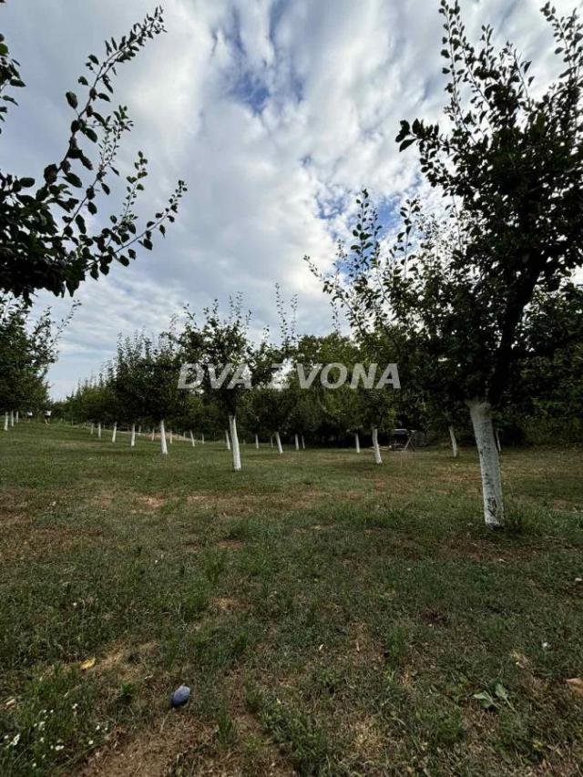 PLAC SA UKNJIŽENIM POMOĆNIM OBJEKTOM I VOĆNJAKOM NA FRUŠKOJ GORI!