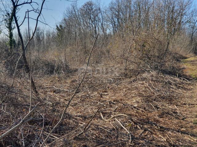 ISTRIA, KAROJBA - Building plot at the end of a quiet settlement