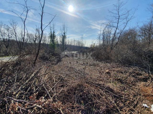 ISTRIA, KAROJBA - Building plot at the end of a quiet settlement