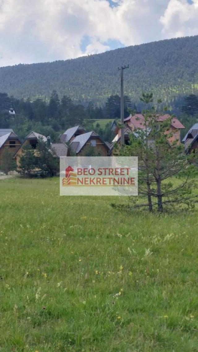 - zlatibor sf 2231