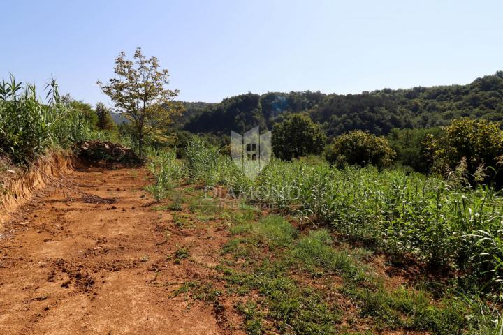 Building land near Motovun!