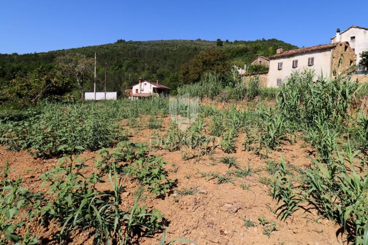 Building land near Motovun!