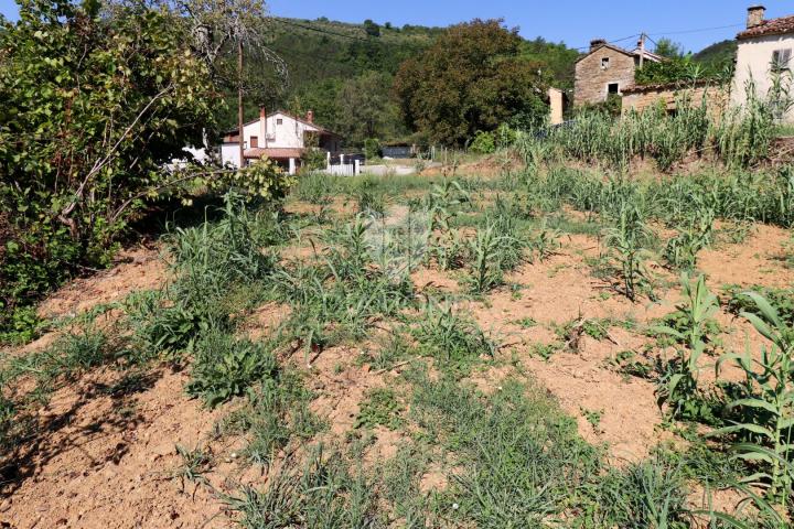 Building land near Motovun!