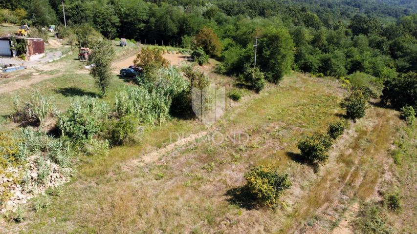 Building land near Motovun!