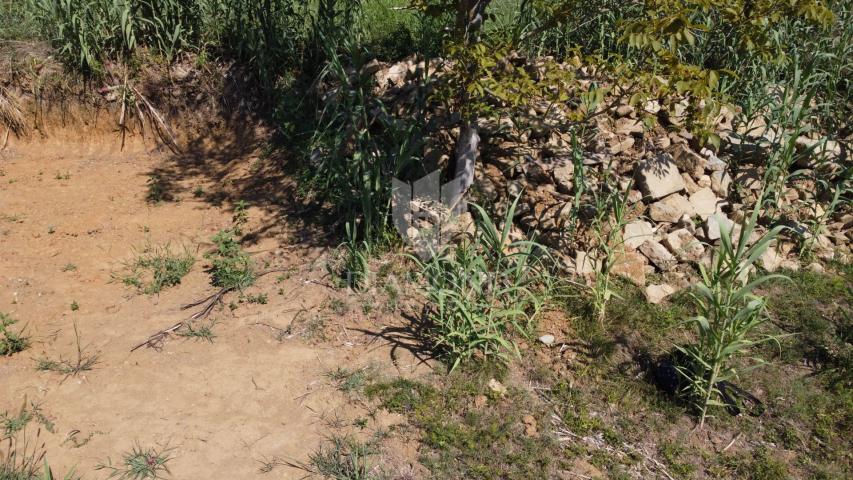 Building land near Motovun!