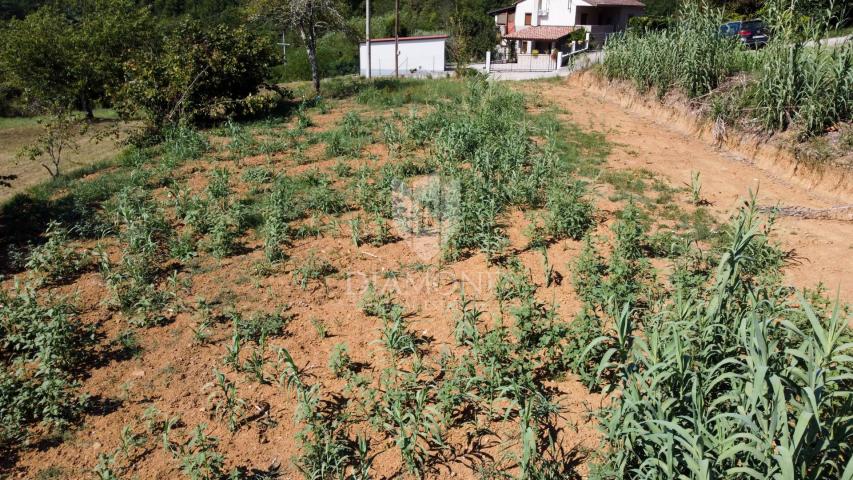 Building land near Motovun!