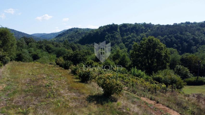 Building land near Motovun!