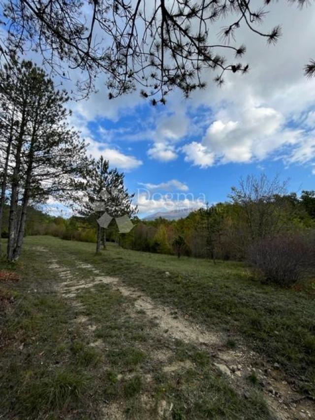 Land Boljun, Lupoglav, 41.433m2