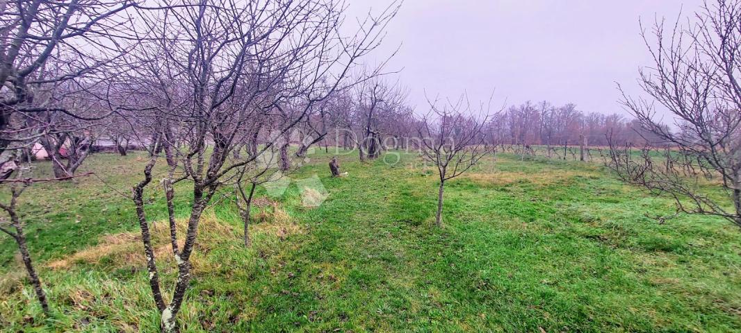 Haus Boljunsko Polje, Lupoglav, 84m2