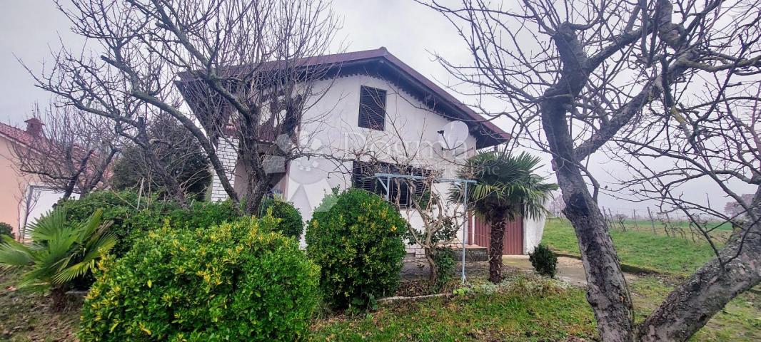 Haus Boljunsko Polje, Lupoglav, 84m2