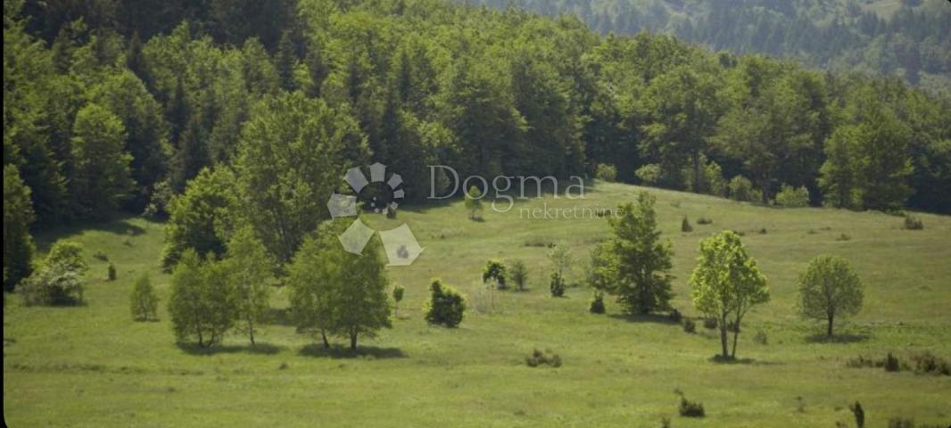 Land Stari Laz, Ravna Gora, 38.516m2