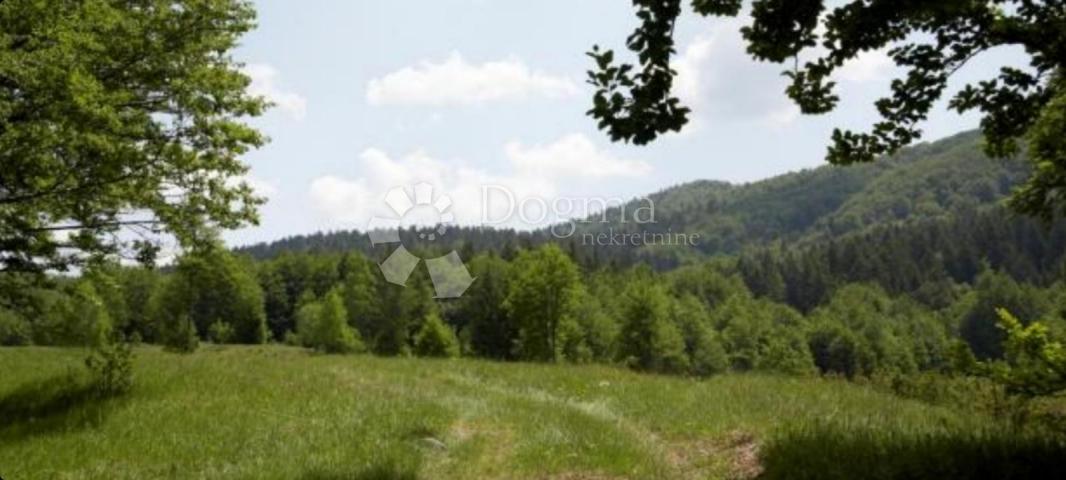 Land Stari Laz, Ravna Gora, 38.516m2