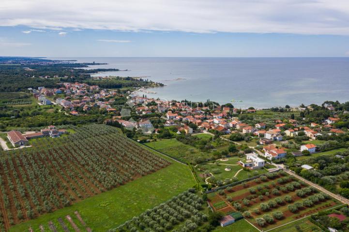 Luksuzna vila na uzdignutom terenu s pogledom na more i mediteransko zelenilo