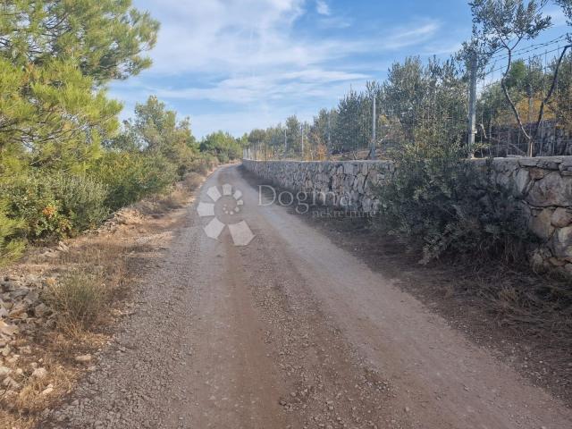 POLJOPRIVREDNO ZEMLJIŠTE- SUTIVAN, OTOK BRAČ