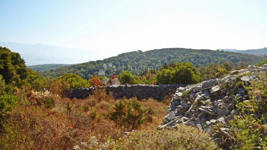 POLJOPRIVREDNO ZEMLJIŠTE SA POGLEDOM NA MORE I