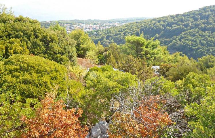 POLJOPRIVREDNO ZEMLJIŠTE SA POGLEDOM NA MORE I