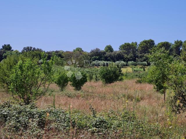 Land Veli vrh, Pula, 636m2